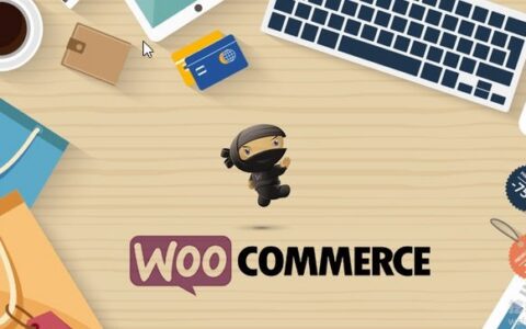 外贸SOHO必看！用WordPress+WooCommerce搭建B2B询盘网站