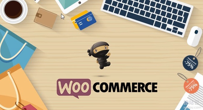WooCommerce插件的好处